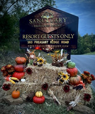 Sanctuary Treehouse Resort by null