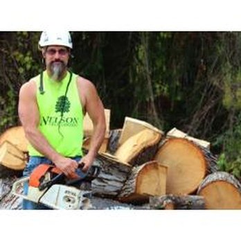 Nelson Tree - Nelson Tree Co. - Tree Services Near Me - North Huntingdon, Pennsylvania Nelson Tree - Nelson Tree Co. - Tree Services Near Me - North Huntingdon, Pennsylvania