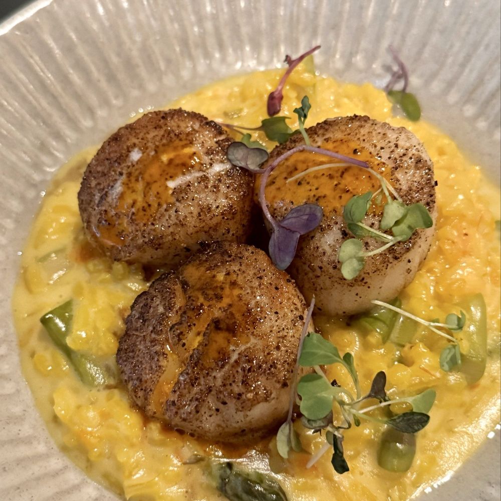 29 Markle Ct - Seared sea scallop & saffron risotto with asparagus and peri peri sauce, local micro green. - New American Near Me - Bridgeport, Connecticut 29 Markle Ct - Seared sea scallop & saffron risotto with asparagus and peri peri sauce, local micro green. - New American Near Me - Bridgeport, Connecticut