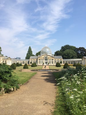 Syon Park by null