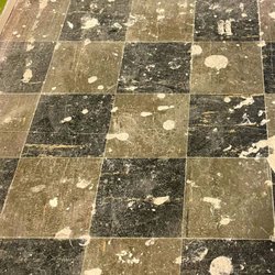 Maryland Biodetection - Common asbestos floor tiles