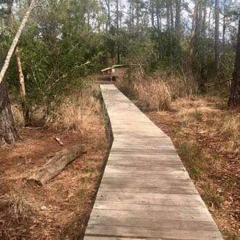 Pages Creek Park - A wooded path along trail - Parks Near Me - Wilmington, North Carolina Pages Creek Park - A wooded path along trail - Parks Near Me - Wilmington, North Carolina