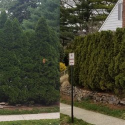Torres Landscaping & Masonry - Great work!