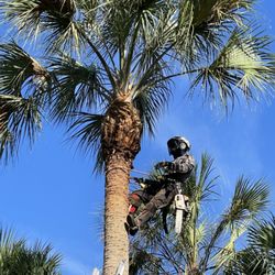 Vasquez Tree Service