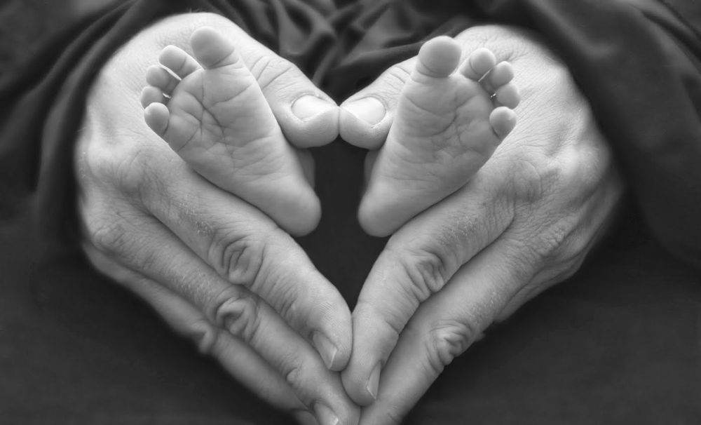 Adoptions From the Heart - social services organization in Wilmington, DE