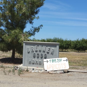 Bremmer's Farm - Fruits & Veggies Near Me - Arbuckle, California