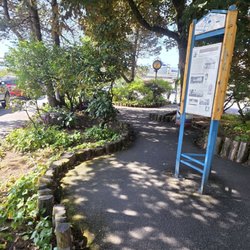 Whale Park