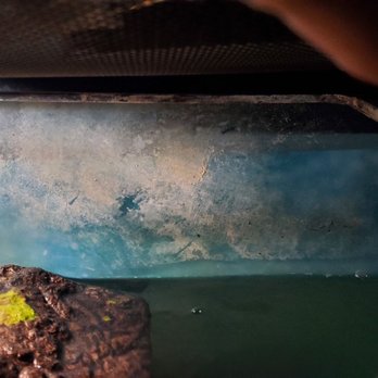 A.G. Aquariums And Ponds - Aquarium Services Near Me A.G. Aquariums And Ponds - Aquarium Services Near Me
