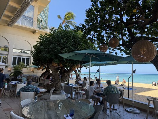 Kaimana Beach Hotel by null