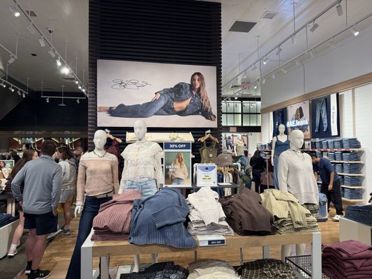 American Eagle by null