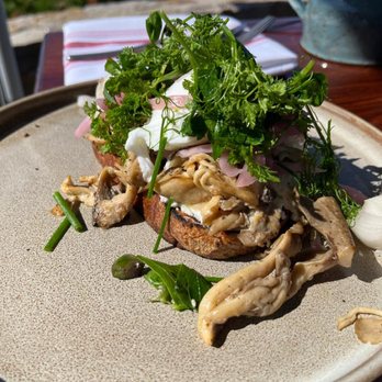 The Sur House - Mushroom Tartine - New American Near Me - Big Sur, California The Sur House - Mushroom Tartine - New American Near Me - Big Sur, California
