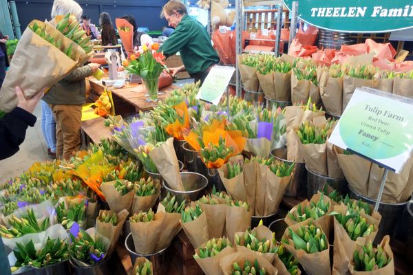 Old Strathcona Farmers' Market by null