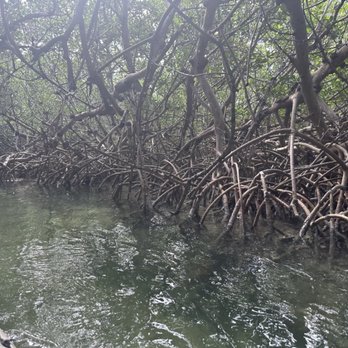 Lazy Dog Adventures - Rafting/Kayaking Near Me - Key West, Florida
