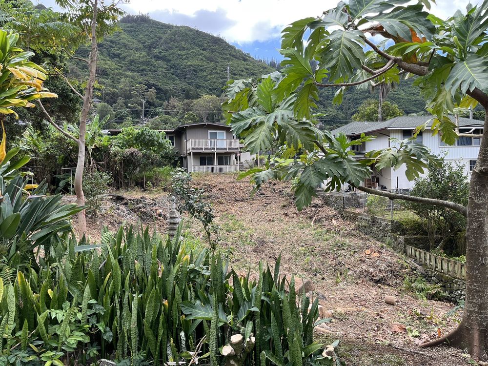 Tree Concepts Hawaii - tree service in Honolulu, HI