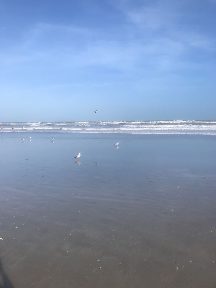 I DREAM OF JEANNIE LN Cocoa Beach, Florida Landmarks & Historical