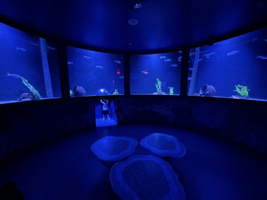 SEA LIFE Arizona Aquarium by null