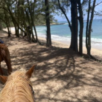 Stables at Turtle Bay Resort - Horseback Riding Near Me - Kahuku, Hawaii Stables at Turtle Bay Resort - Horseback Riding Near Me - Kahuku, Hawaii