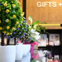 Marketfair Newsagency - We special in unique sentimental gifts for all occasions.