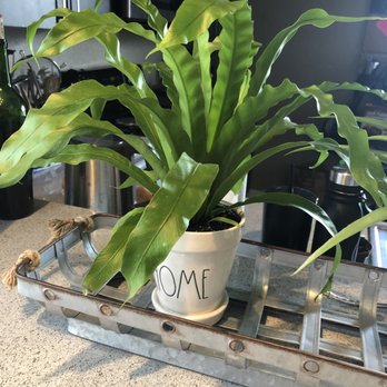 Fancy Free Nursery - Look at this beauty ! - Nurseries & Gardening Near Me - Tampa, Florida