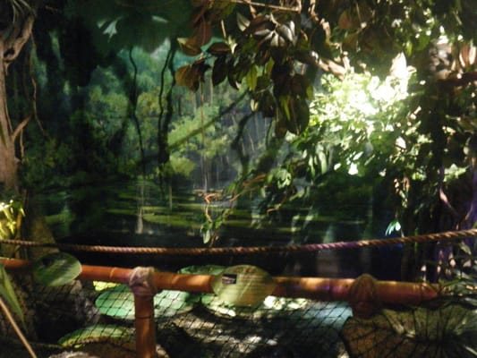 SEA LIFE Brighton by null