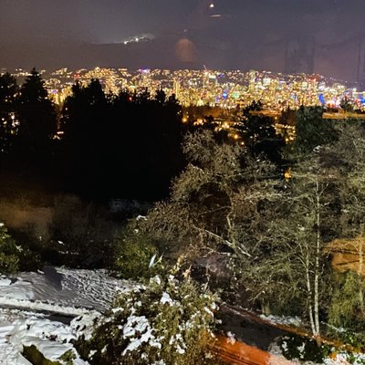 Seasons in the Park by null