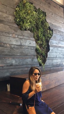 Red Bay Coffee Roastery by null