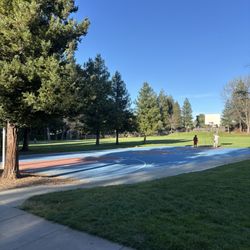 Tawny Park