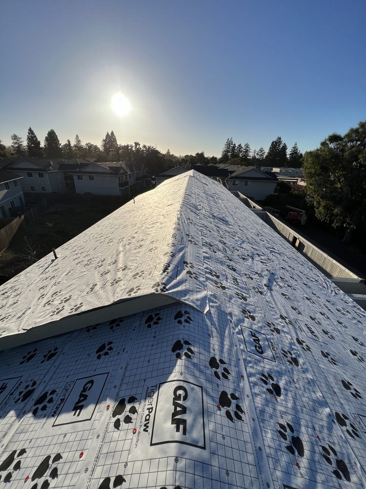 Slide of E Sanchez roofing