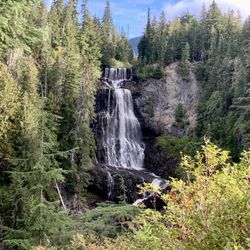 Alexander Falls - Alexander Falls was nice, but situated a little far away from the viewing platform.