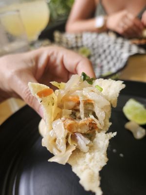 Aloha Mamacita by null