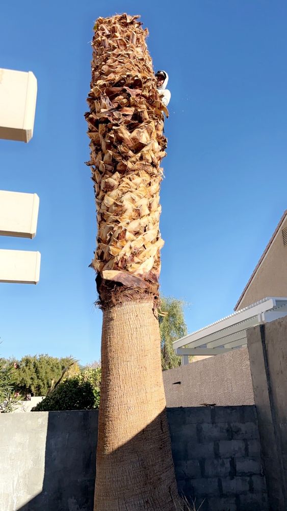 LANTANA’S LANDSCAPING Updated August 2024 17 Reviews 1801 N