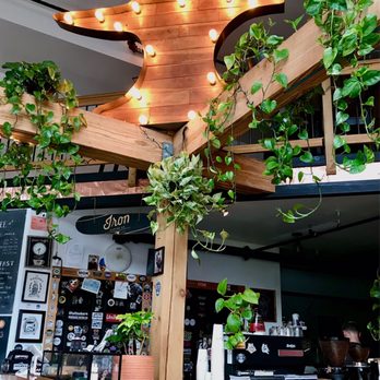 Iron Coffee - a wooden bar with plants hanging from the ceiling - Coffee Roasteries Near Me - Hoosick Falls, New York