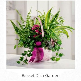 The Open Rose - Florists Near Me - Milton, Florida