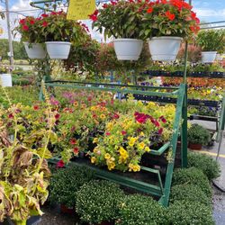 The Plant Stand