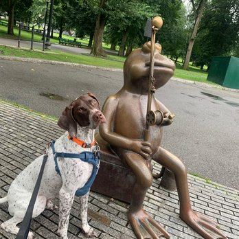Bark by the Park - Strolling in the Boston Commons - Dog Walkers Near Me Bark by the Park - Strolling in the Boston Commons - Dog Walkers Near Me