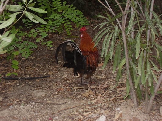 Parc Borély by null
