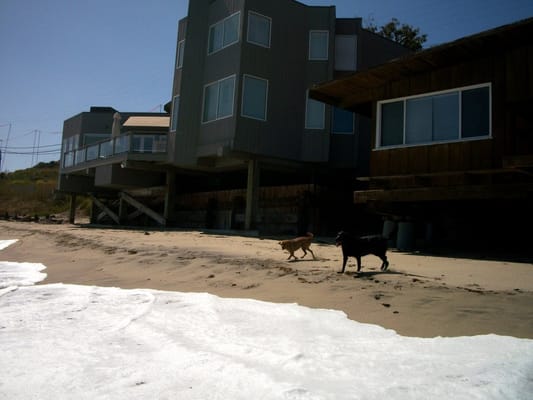 Broad Beach Rd by null