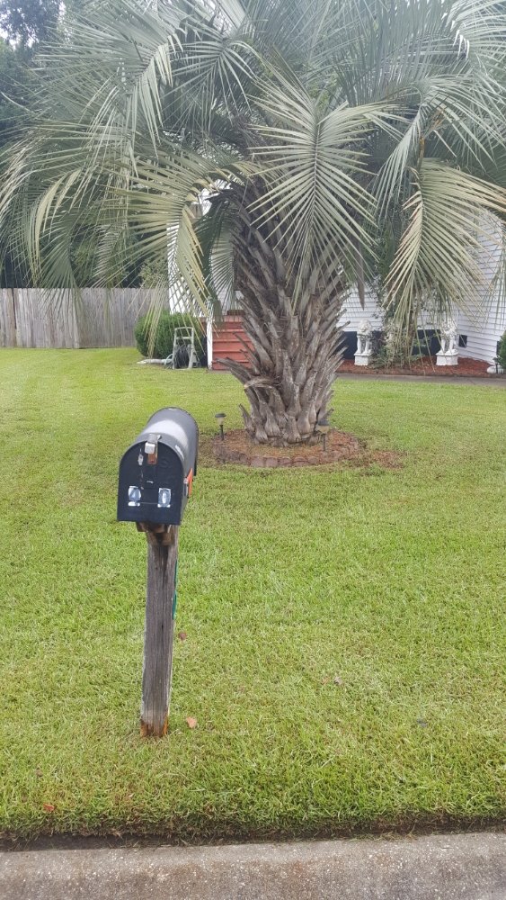 Derrick Gadsden’s Lawn Care And More - tree service in Charleston, SC