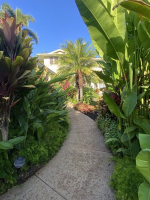 Pineapple Inn Maui by null