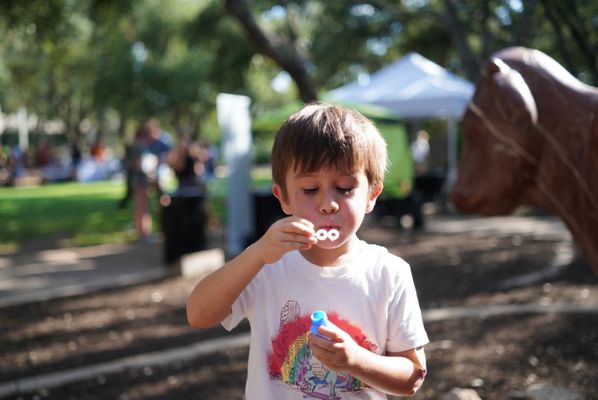 The Arboretum by null