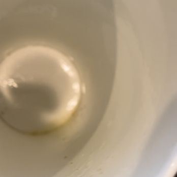 Pollo Tropical - Mystery brown chunks. There was a lot MORE but they went down the drain when I dumped this - Fast Food Near Me - Stuart, Florida