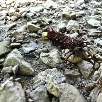 Kaymoor Trail - Hiking Near Me - WV, West Virginia