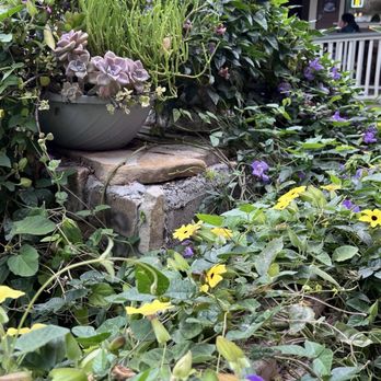 The Classic Cafe - Outdoor garden - Coffee & Tea Near Me - Fullerton, California