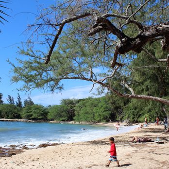 Puaena Point Beach - A good beach to relax, unwind, surf, have a picnic or just spend the day. - Beaches Near Me Puaena Point Beach - A good beach to relax, unwind, surf, have a picnic or just spend the day. - Beaches Near Me