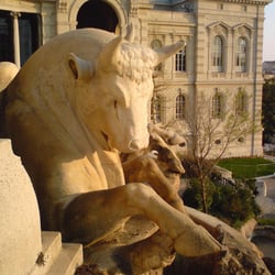 Muséum d'Histoire Naturelle - Vue sur le musée en arrière plan