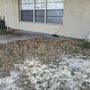 Photo of Tampa Junk Removal Guys