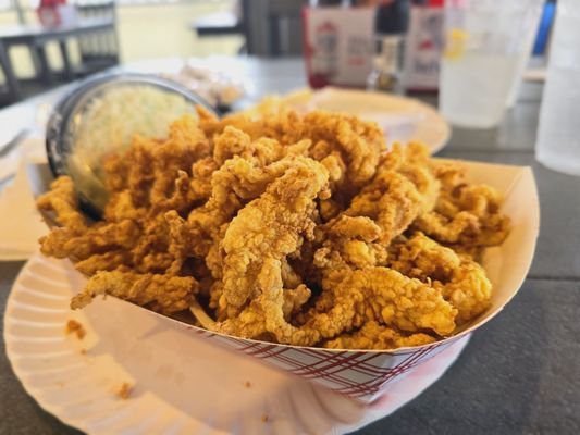 Bigelow's New England Fried Clams by null