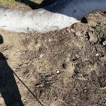 Victoria Golf Course - My ball fell into one of the millions of gopher holes plaguing the course - Golf Near Me - Carson, California Victoria Golf Course - My ball fell into one of the millions of gopher holes plaguing the course - Golf Near Me - Carson, California