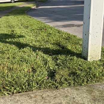 Epic Lawn Care - Lawn Services Near Me Epic Lawn Care - Lawn Services Near Me