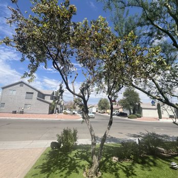 WestCo Tree Service - Tree Services Near Me WestCo Tree Service - Tree Services Near Me